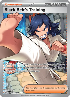 Black Belt's Training Ultra Rare 255/217 Ascended Heroes