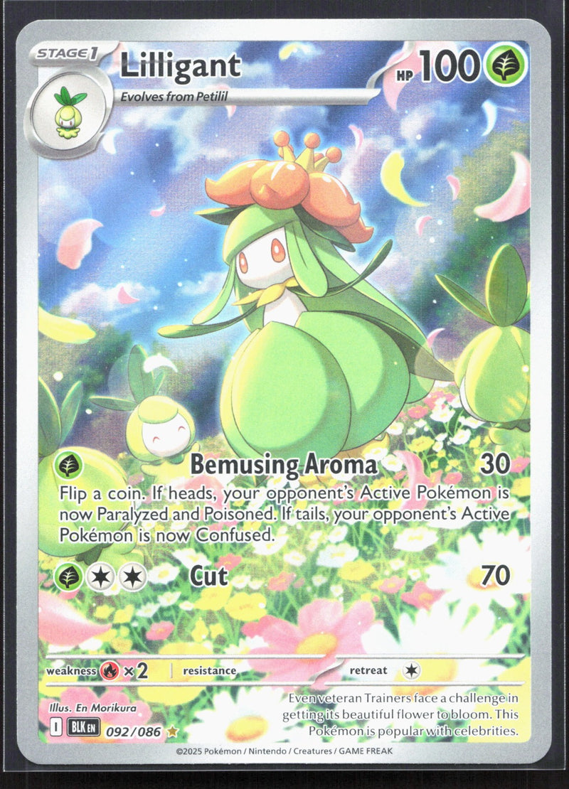 Lilligant Illustration Rare SV: Black Bolt 092/086