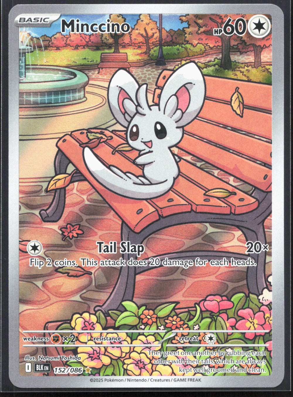 Minccino Illustration Rare SV: Black Bolt 152/086