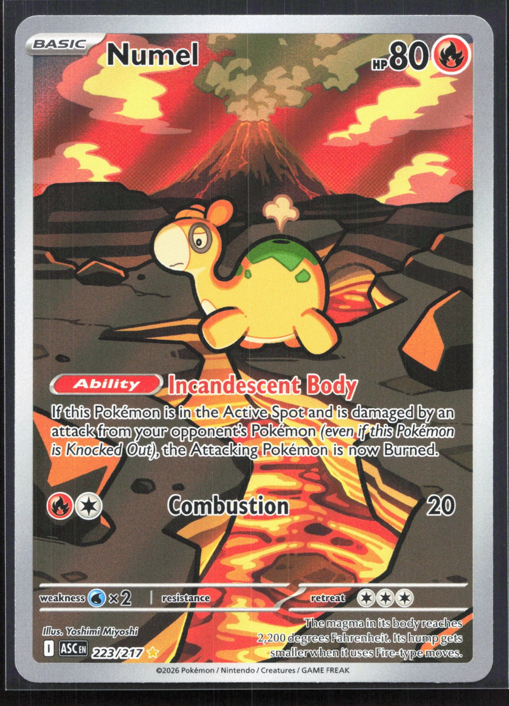 Numel Illustration Rare ME: Ascended Heroes 223/217