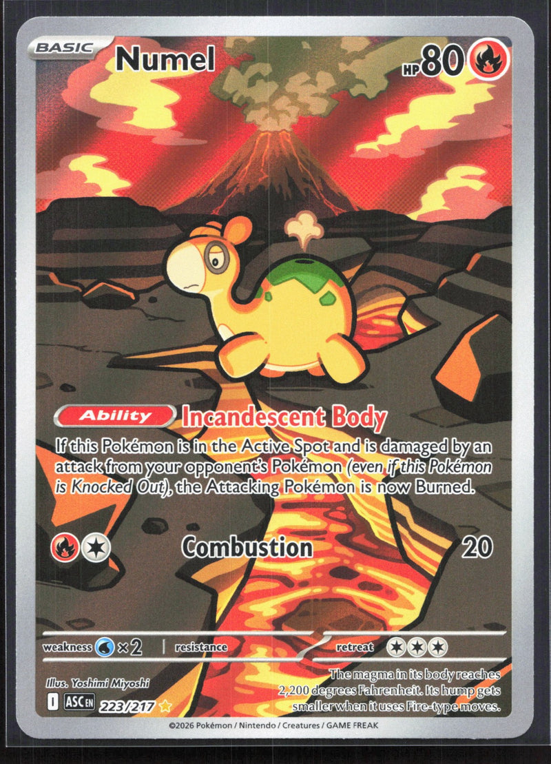 Numel Illustration Rare ME: Ascended Heroes 223/217