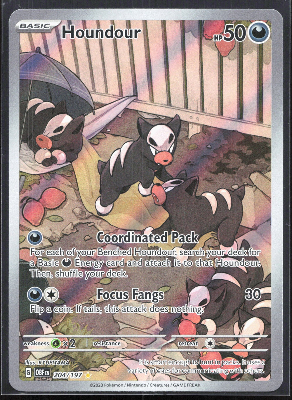 Houndour Illustration Rare SV03: Obsidian Flames 204/197
