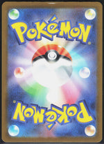 N's Zekrom M2a: High Class Pack: MEGA Dream ex 210/193 (Back)