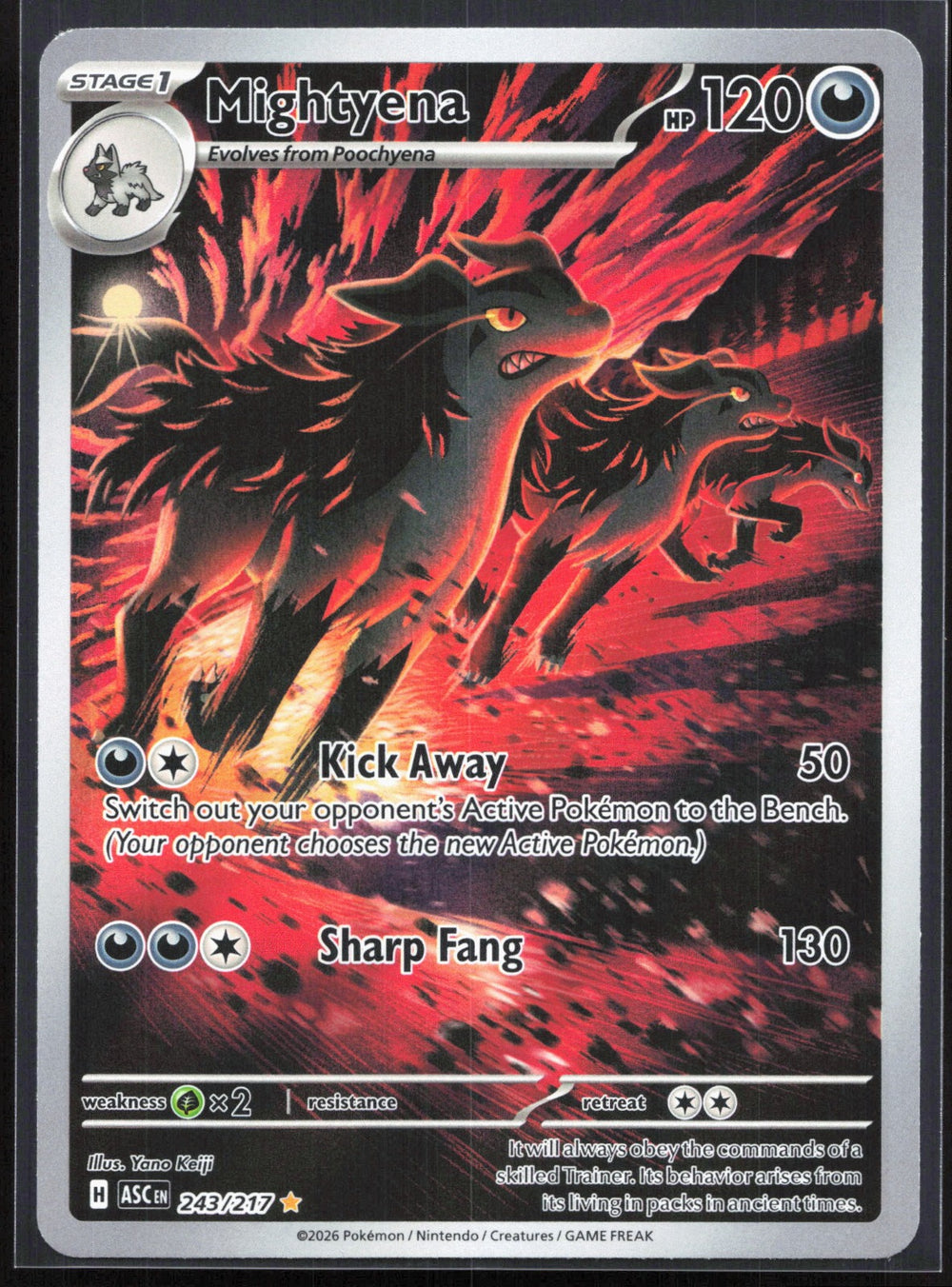 Mightyena Illustration Rare ME: Ascended Heroes 243/217