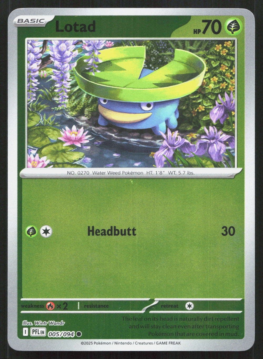 Lotad Reverse Holo ME02: Phantasmal Flames 005/094