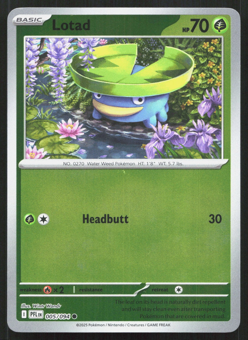 Lotad Reverse Holo ME02: Phantasmal Flames 005/094