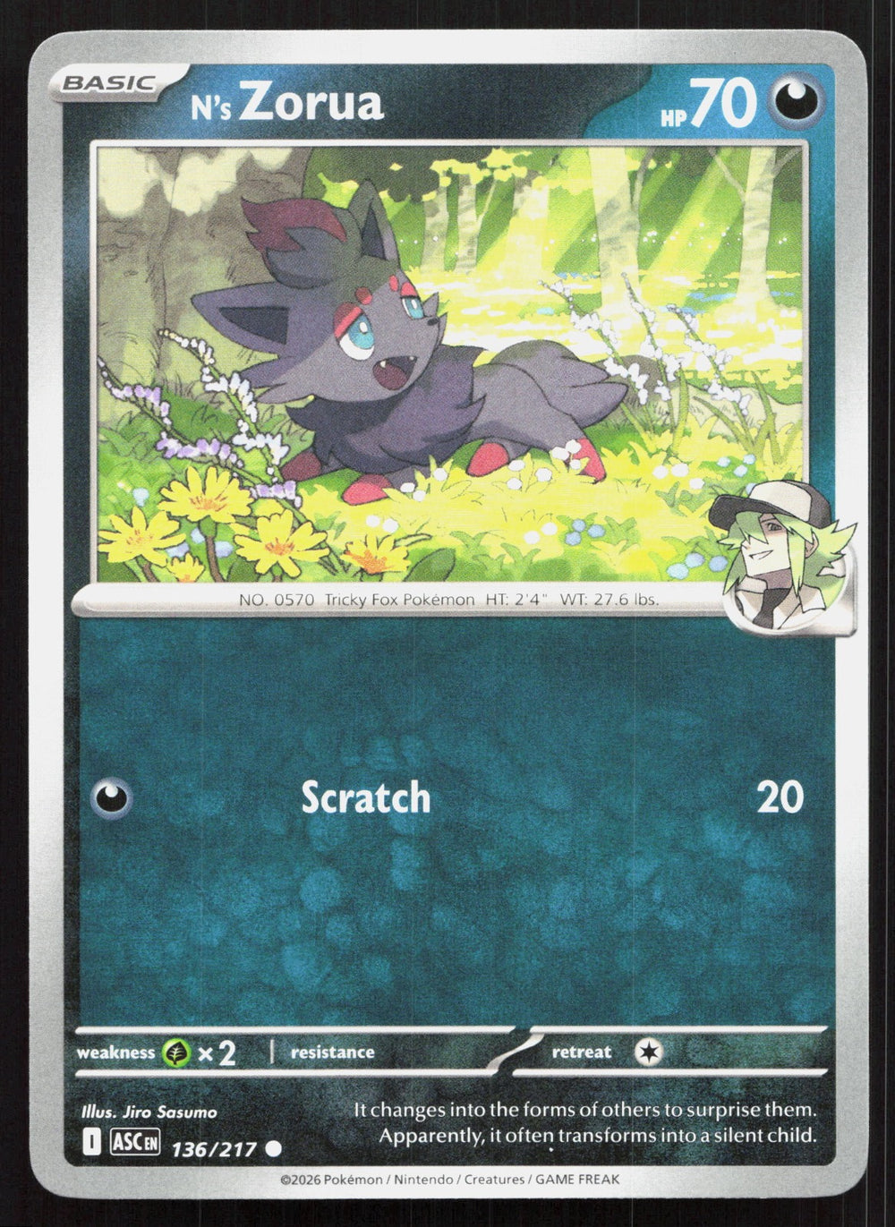 N's Zorua ME: Ascended Heroes 136/217