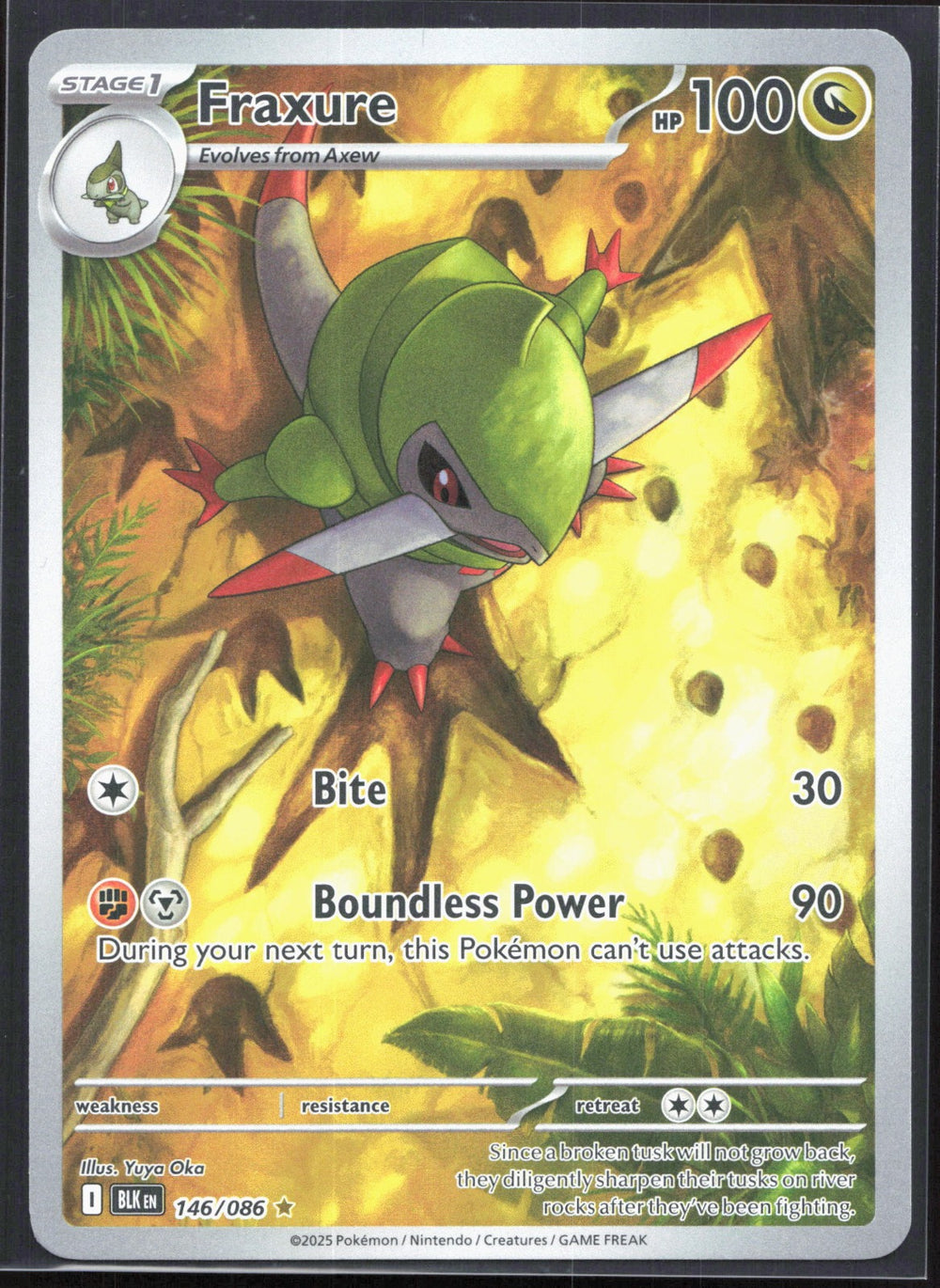 Fraxure Illustration Rare SV: Black Bolt 146/086