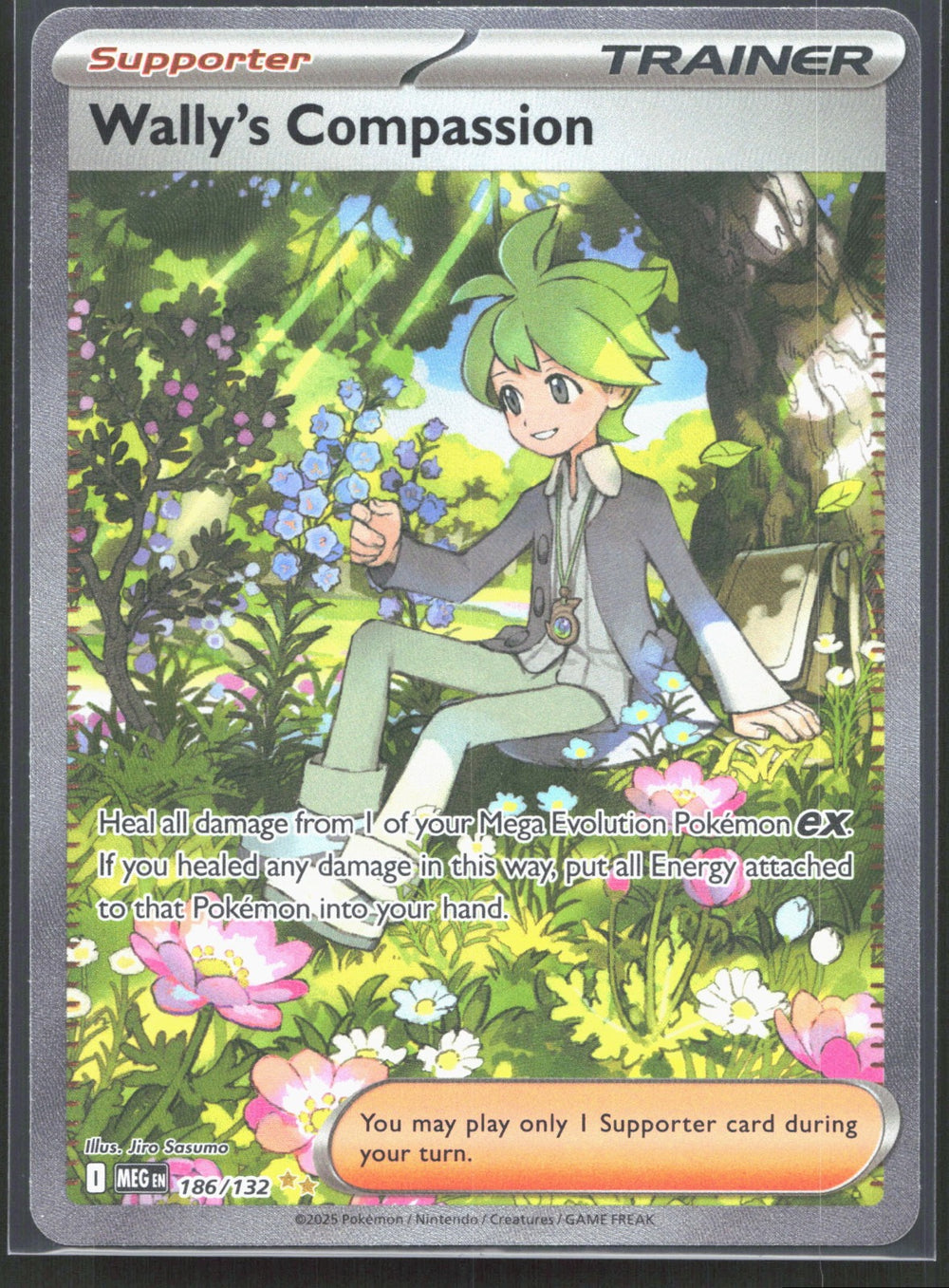 Wally's Compassion Special Illustration Rare ME01: Mega Evolution 186/132