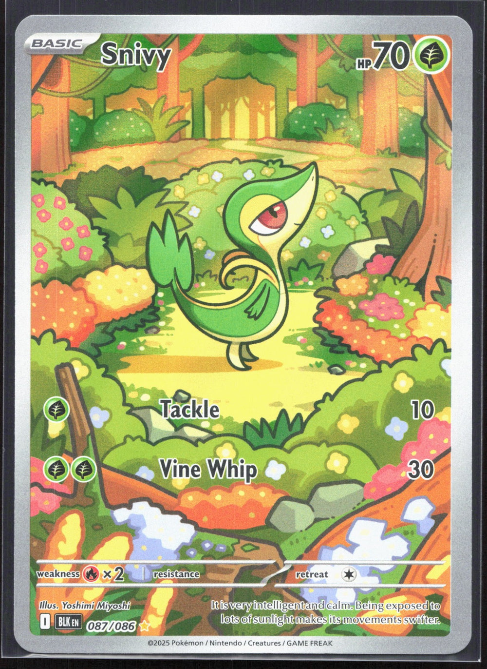 Snivy Illustration Rare SV: Black Bolt 087/086
