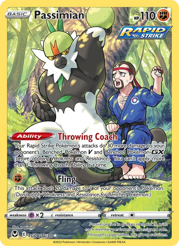 Passimian Trainer Gallery TG08/TG30 Silver Tempest